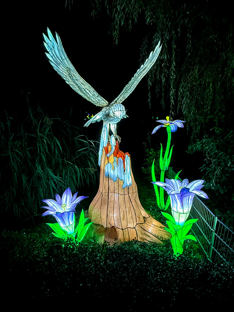 China Lights - Eule
Jo
Schlüsselwörter: 2025