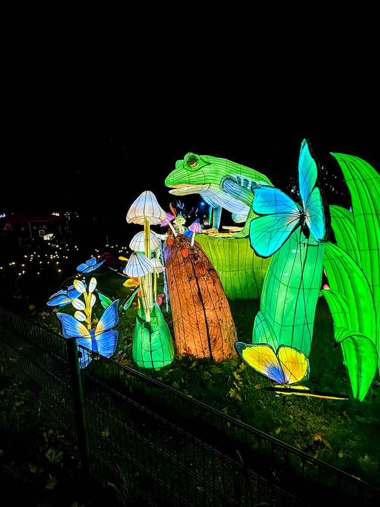 China Lights - Frosch
Jo
Schlüsselwörter: 2025