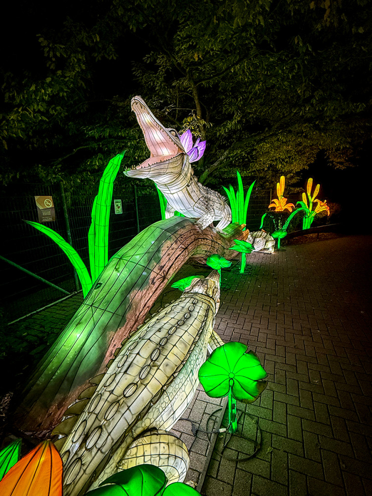 China Lights - Krokodile
Jo
Schlüsselwörter: 2025