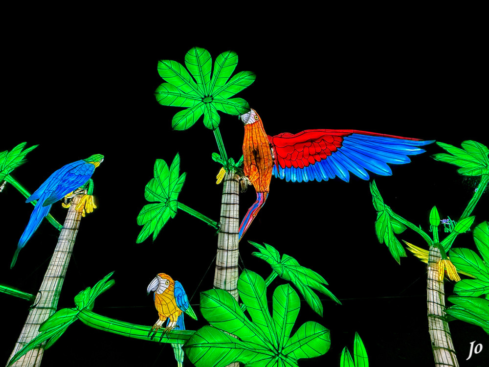 China Lights - Aras
Schlüsselwörter: 2025, Kleve