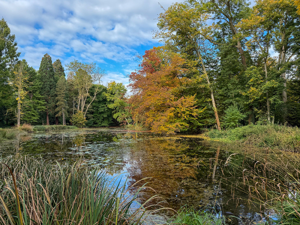 Schloss Paffendorf - Parkidylle
Jo
Schlüsselwörter: 2025