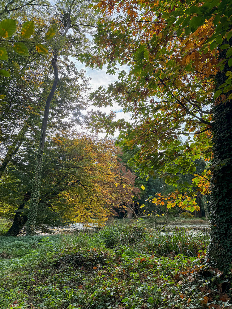 Schloss Paffendorf - Parkidylle
Jo
Schlüsselwörter: 2025