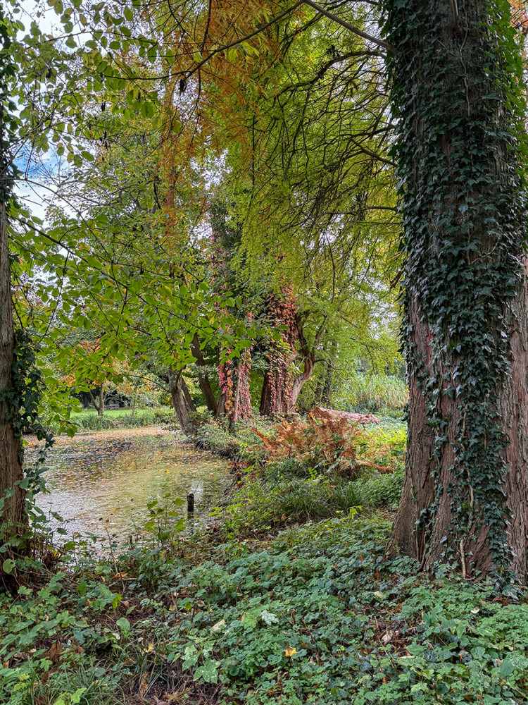 Schloss Paffendorf - Parkidylle
Jo
Schlüsselwörter: 2025