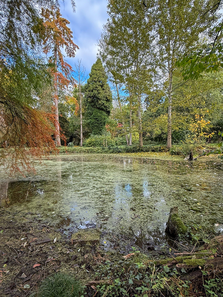 Schloss Paffendorf - Parkidylle
Jo
Schlüsselwörter: 2025