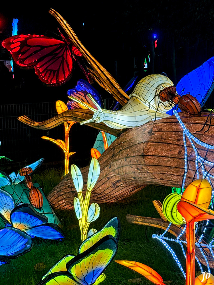 China Lights - Schnecke und Schmetterling
Schlüsselwörter: 2025; Kleve