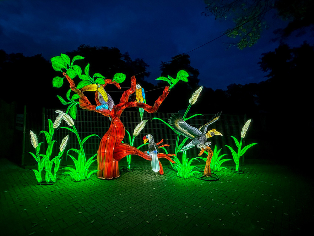 China Lights - Vögel zur blauen Stunde
Jo
Schlüsselwörter: 2025