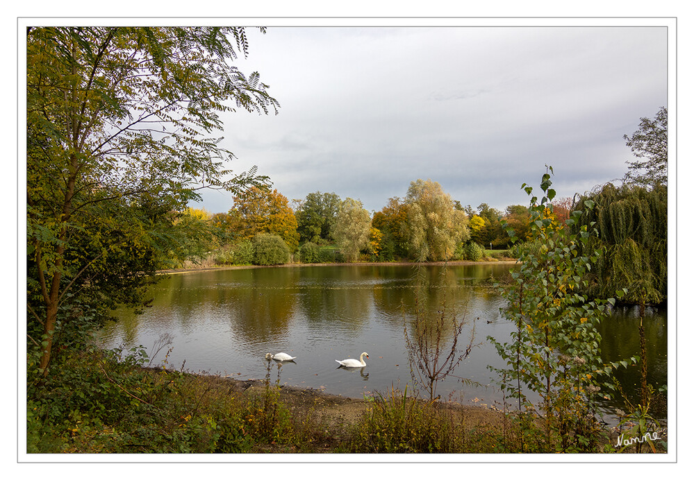 Jröne Meerke
ist Teil eines Grünzuges durch Neuss, der sich entlang des Nordkanals vom Rheinpark über den Rosengarten, den Stadtgarten, den Stadtwald und andere, teils öffentliche, teils private Gründflächen bis an die nördliche Stadtgrenze von Neuss erstreckt, laut Wikipedia
Schlüsselwörter: Neuss