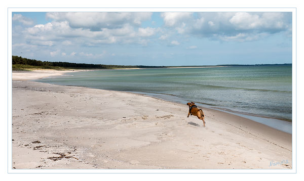 Einsamer Strand
Schlüsselwörter: Rügen, Strand