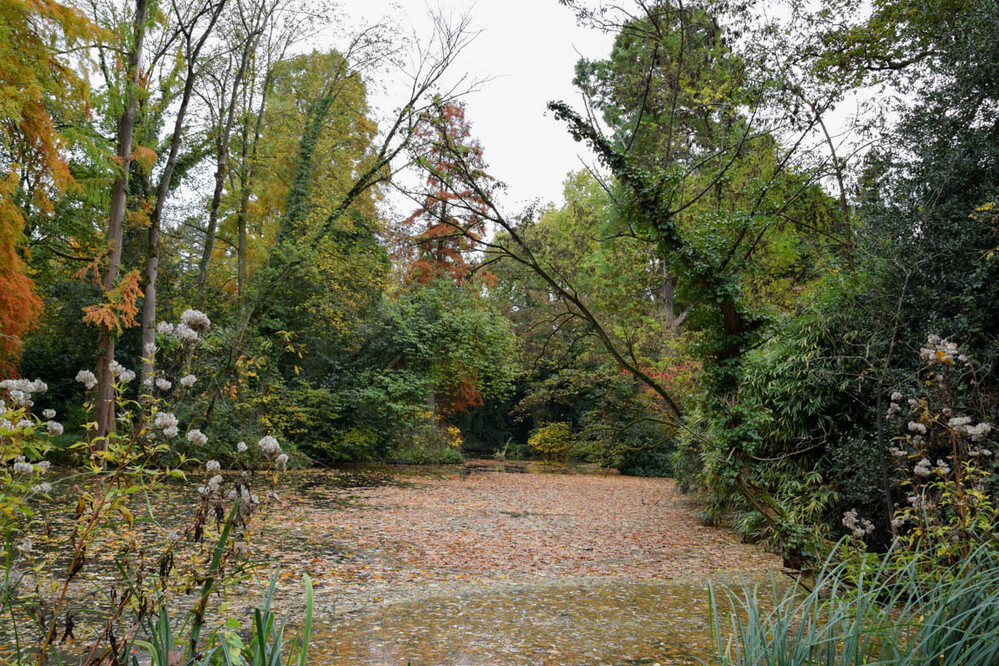 Landschaft "Herbstblätter im See"
Karl-Heinz
Schlüsselwörter: 2022