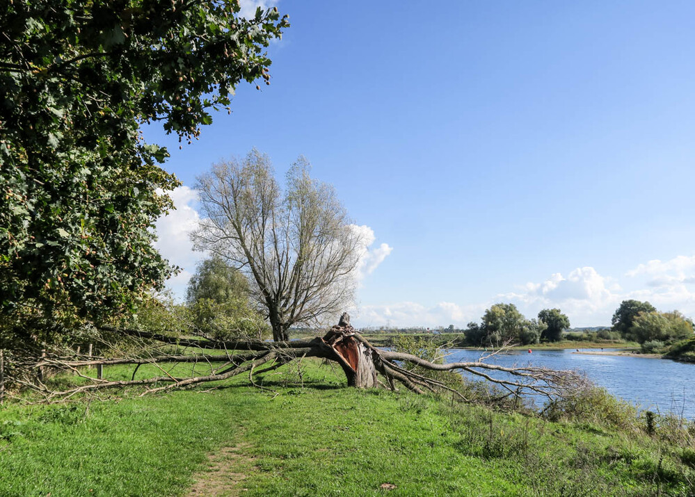 Landschaft  "Deich an der Maas"
Karl-Heinz
Schlüsselwörter: 2022