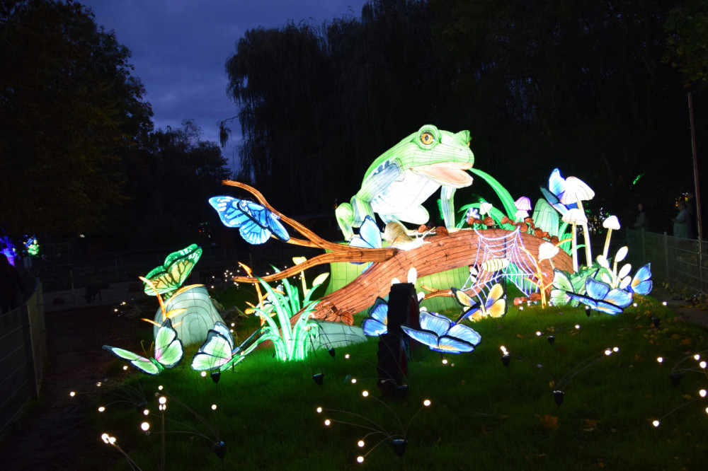 China Lights - Frosch
Karl-Heinz
Schlüsselwörter: 2025