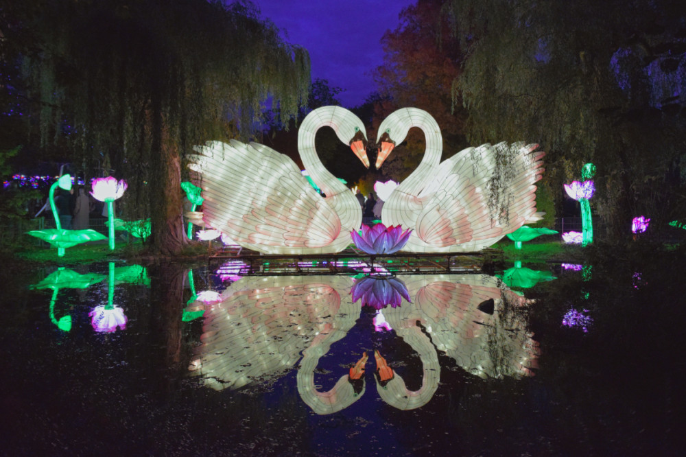 China Lights - Schwäne
Karl-Heinz
Schlüsselwörter: 2025