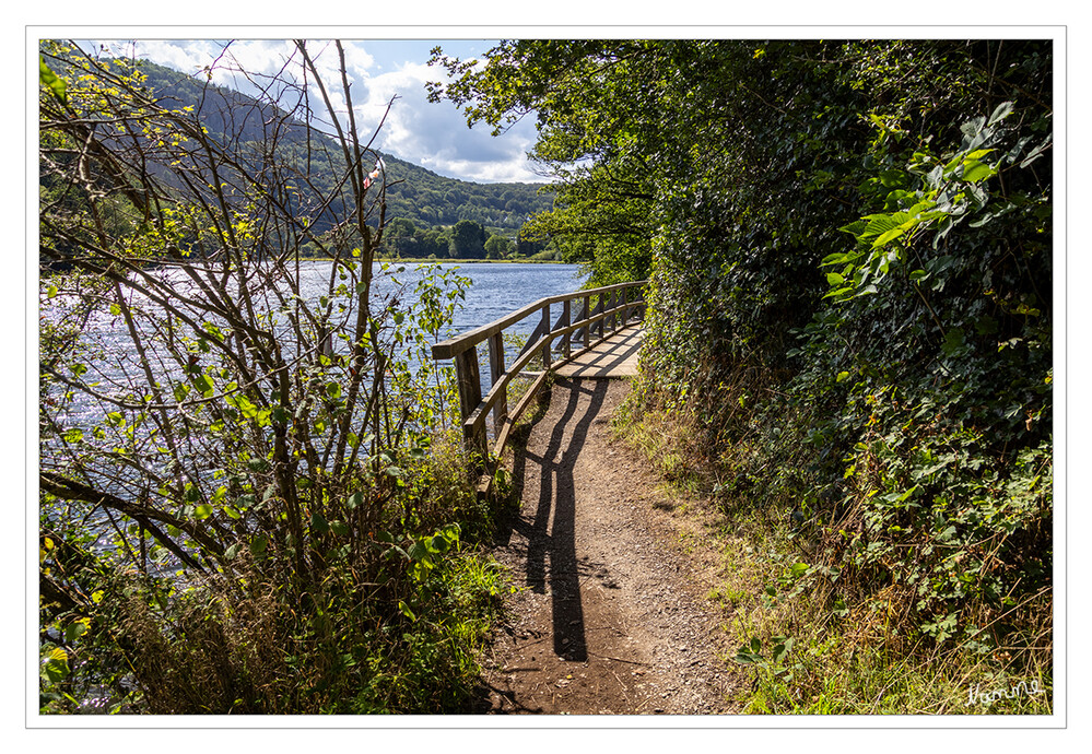 Kleine Eifeltour - Rund ums Staubecken Heimbach
Immer an der Wasserkante, begleitet von Laubwäldern, mit herrlichen Blicken auf den hoch aufragenden Kermeter und Meuchelberg - so präsentiert sich die Runde um den Stausee in Heimbach. Obwohl bei Einheimischen bekannt als "Dschungelpfad", muss keiner hier von Baum zu Baum springen. Der problemlose Weg passiert zunächst die Stauanlage, wo eine bewegliche Fischbauchklappe für den Ablass gleichmäßiger Wassermengen in die untere Rur sorgt. Weiter geht es über einen Bohlensteg und einen schmalen, felsigen Pfad, bis das berühmte, immer noch Strom erzeugende Wasserkraftwerk in den Blick gerät. laut .rureifel-tourismus 
Schlüsselwörter: Eifel