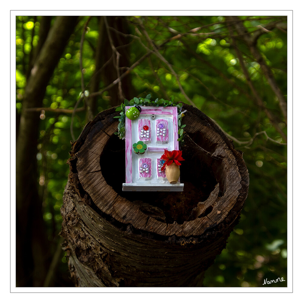 Kleine Eifeltour - Rund ums Staubecken Heimbach
Auf dem sogenannten Dschungelpfad, haben dieses Jahr, Kinder für die Elfen kleine Häuschen gebaut. Man muss schon genau schauen um sie zu finden. 
Schlüsselwörter: Eifel