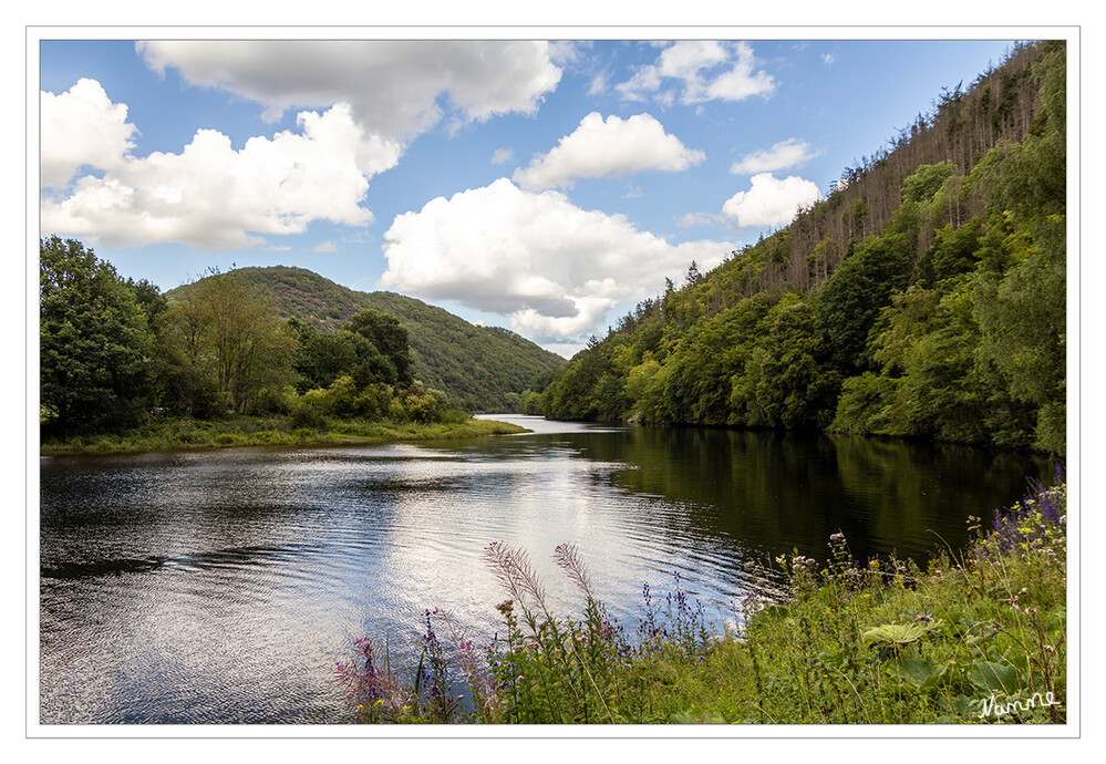 Kleine Eifeltour - Blick aufs Staubecken
Schlüsselwörter: Eifel