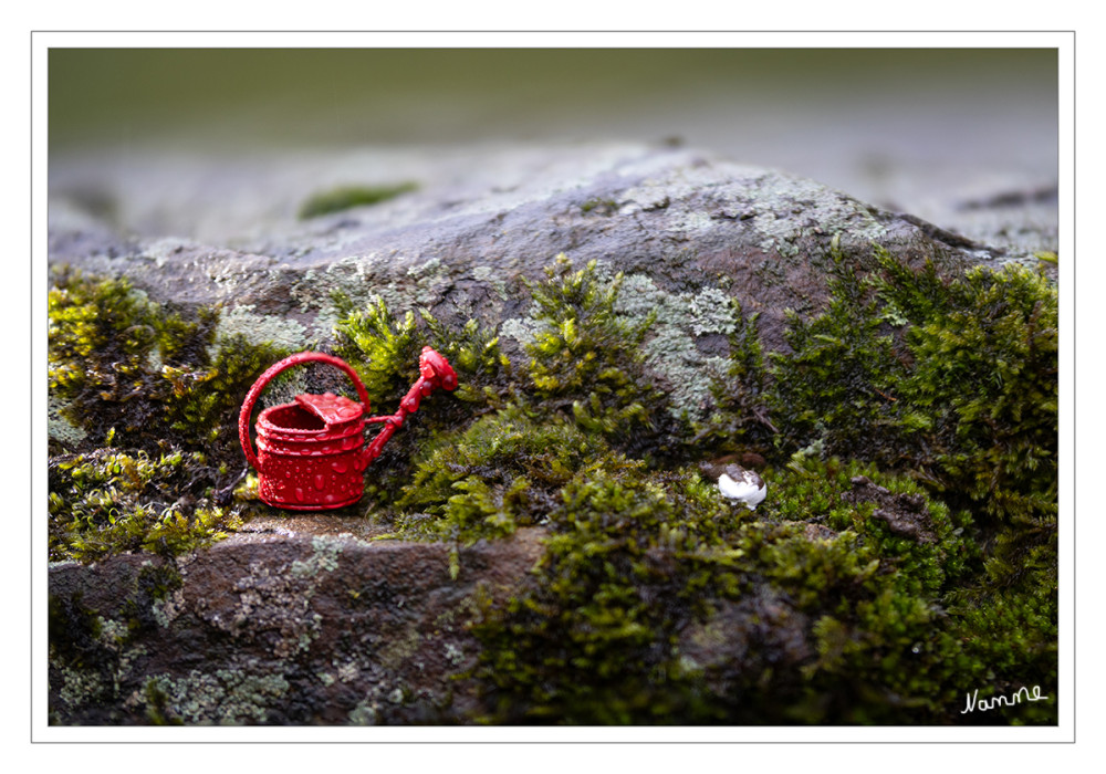 Jetzt ist aber genug gegossen
Kreatives Shitwetter Foto
Schlüsselwörter: 2026