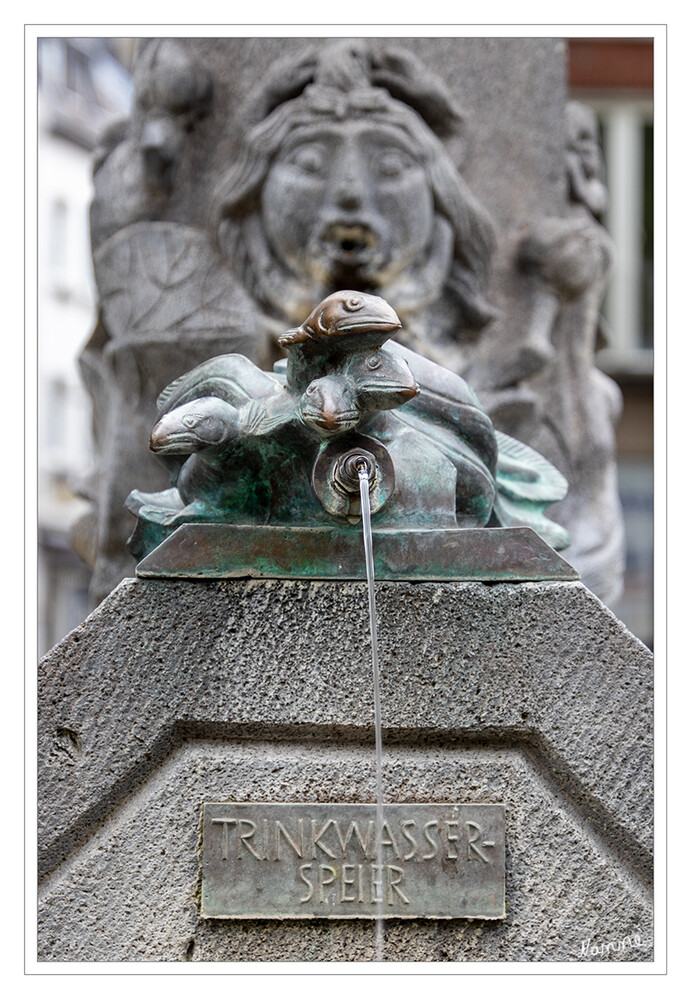 Trinkwasser
Detail des Quirinusbrunnens
Schlüsselwörter: Neuss; Brunnen