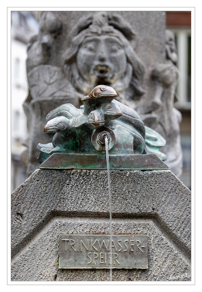 Trinkwasser
Detail des Quirinusbrunnens
Schlüsselwörter: Neuss; Brunnen