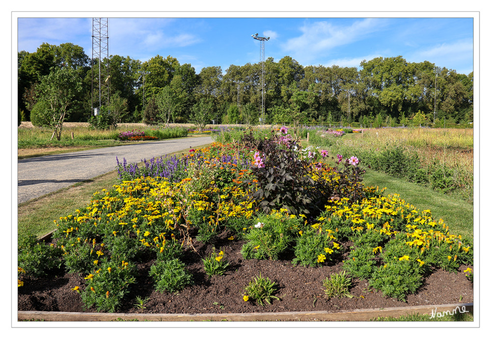 LaGa Neuss - Bunt
Insgesamt gibt es auf dem LAGA-Gelände Blumen und Stauden auf 10.875 Quadratmetern Fläche. Besucherinnen und Besucher können dort rund 800 verschiedene Pflanzenarten entdecken. lt. gabot 
Schlüsselwörter: 2026