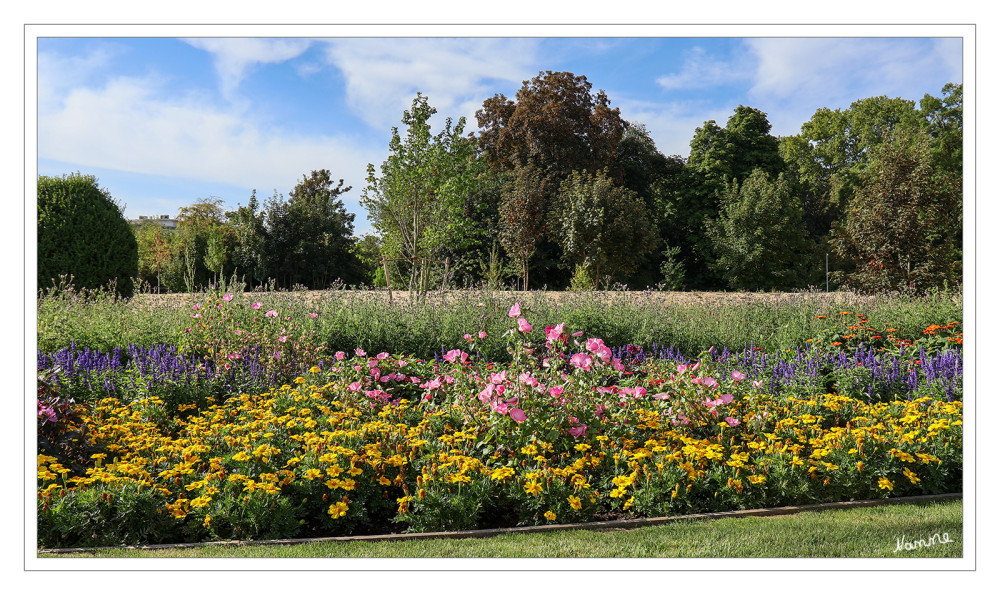 LaGa Neuss - Bunt
Insgesamt gibt es auf dem LAGA-Gelände Blumen und Stauden auf 10.875 Quadratmetern Fläche. Besucherinnen und Besucher können dort rund 800 verschiedene Pflanzenarten entdecken. lt. gabot
Schlüsselwörter: 2026