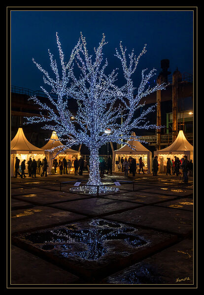 48 - Lichterbaum
2019
Schlüsselwörter: LaPaDu