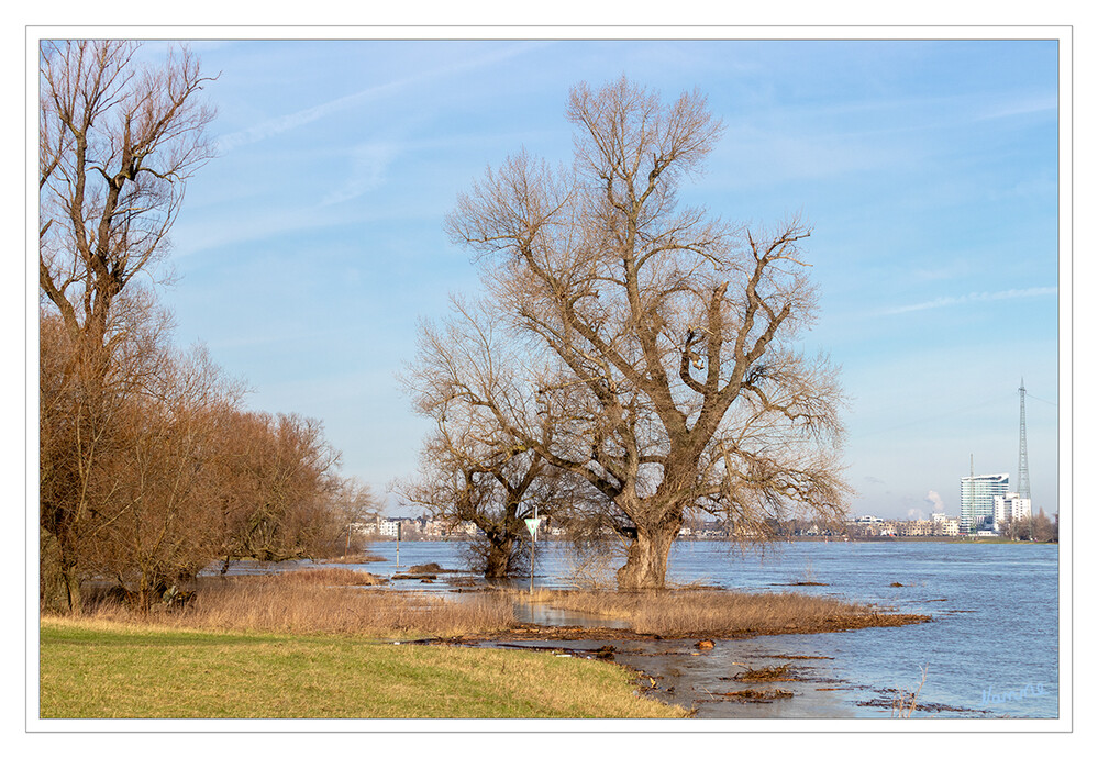 Land unter
Hochwasser am Rhein
Schlüsselwörter: Rhein; Wasser;