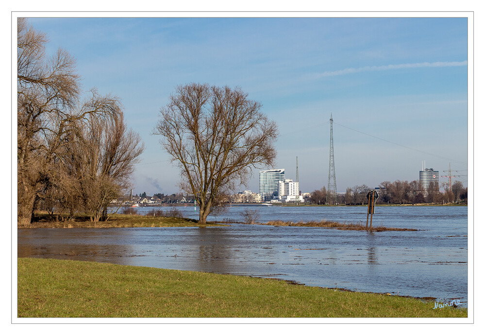 Land unter
Hochwasser am Rhein
Schlüsselwörter: Rhein; Wasser;