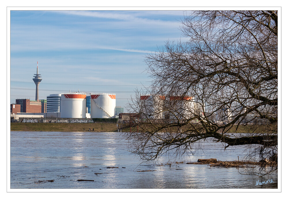 Land unter
Hochwasser am Rhein
Schlüsselwörter: Rhein; Wasser; Fernsehturm