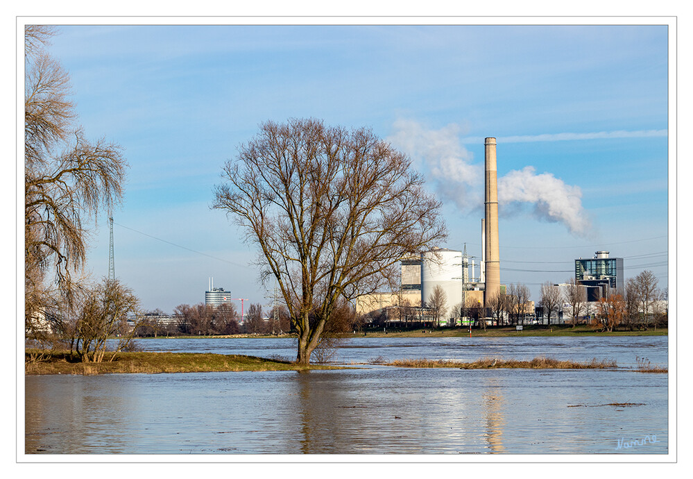 Land unter
Hochwasser am Rhein
Schlüsselwörter: Rhein; Wasser; Bäume