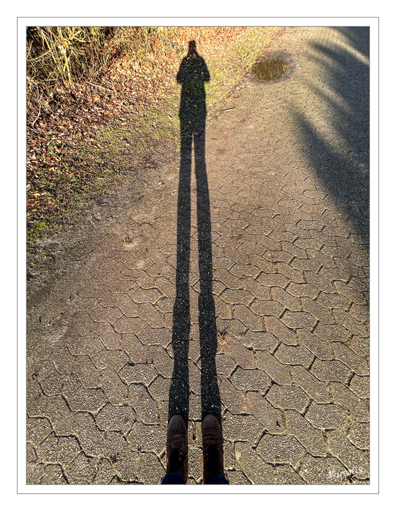 Langer Schatten
Schlüsselwörter: 2026