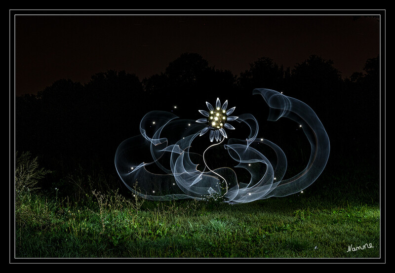 Leuchtende Nachtblume
Schlüsselwörter: Lichtmalerei; Lightpainting; 2020