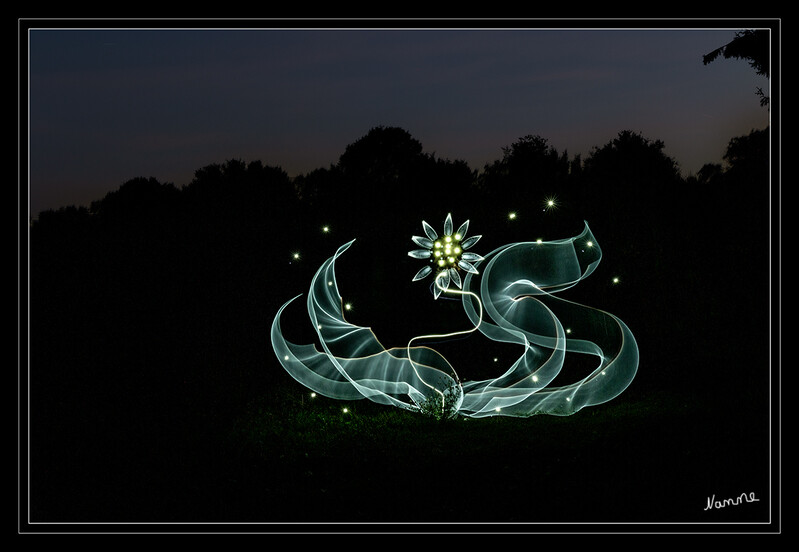 Leuchtende Nachtblume
Schlüsselwörter: Lichtmalerei; Lightpainting; 2020