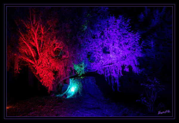 Lichtfestival - Schloß Dyck
Geschichten der Bäume von früher
Schlüsselwörter: Lichtfestival, Schloß Dyck, Bäume