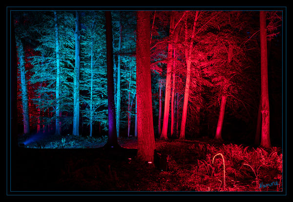 Lichtfestival - Schloß Dyck
Der Zauberwald
Schlüsselwörter: Lichtfestival, Schloß Dyck, Bäume