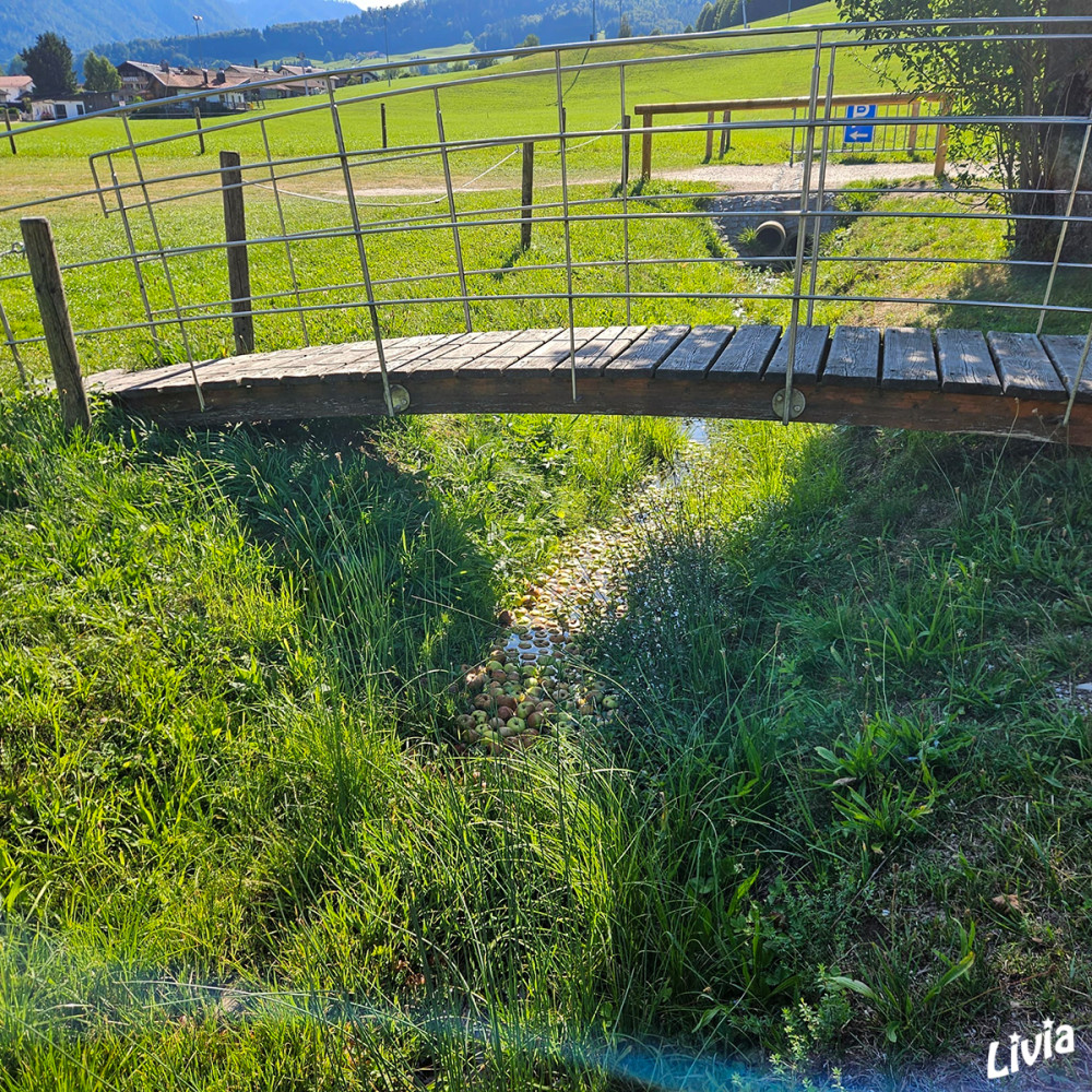 Brücke über den Apfelbach
Schlüsselwörter: 2026