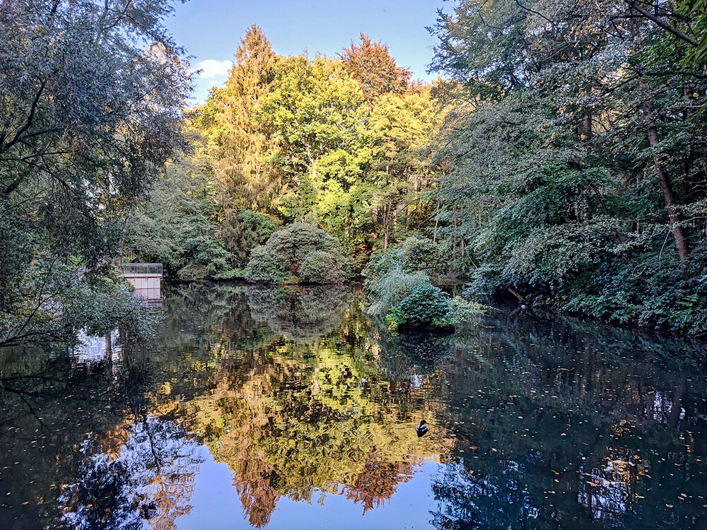 Landschaft "Herbstlich mit Spiegelung"
Manni
Schlüsselwörter: 2022