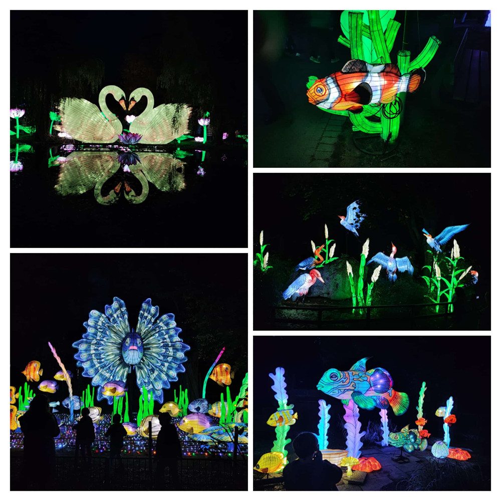 China Lights - Collage
Manni
Schlüsselwörter: 2025