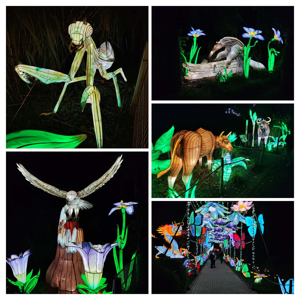 China Lights - Collage
Manni
Schlüsselwörter: 2025