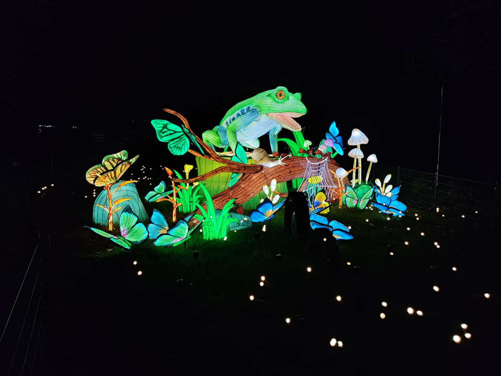 China Lights - Frosch
Manni
Schlüsselwörter: 2025