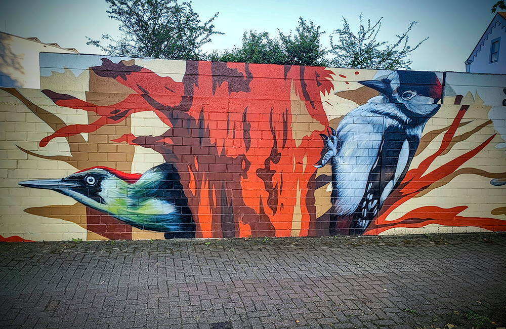 Graffiti "Vögel"
Manni
Schlüsselwörter: 2022