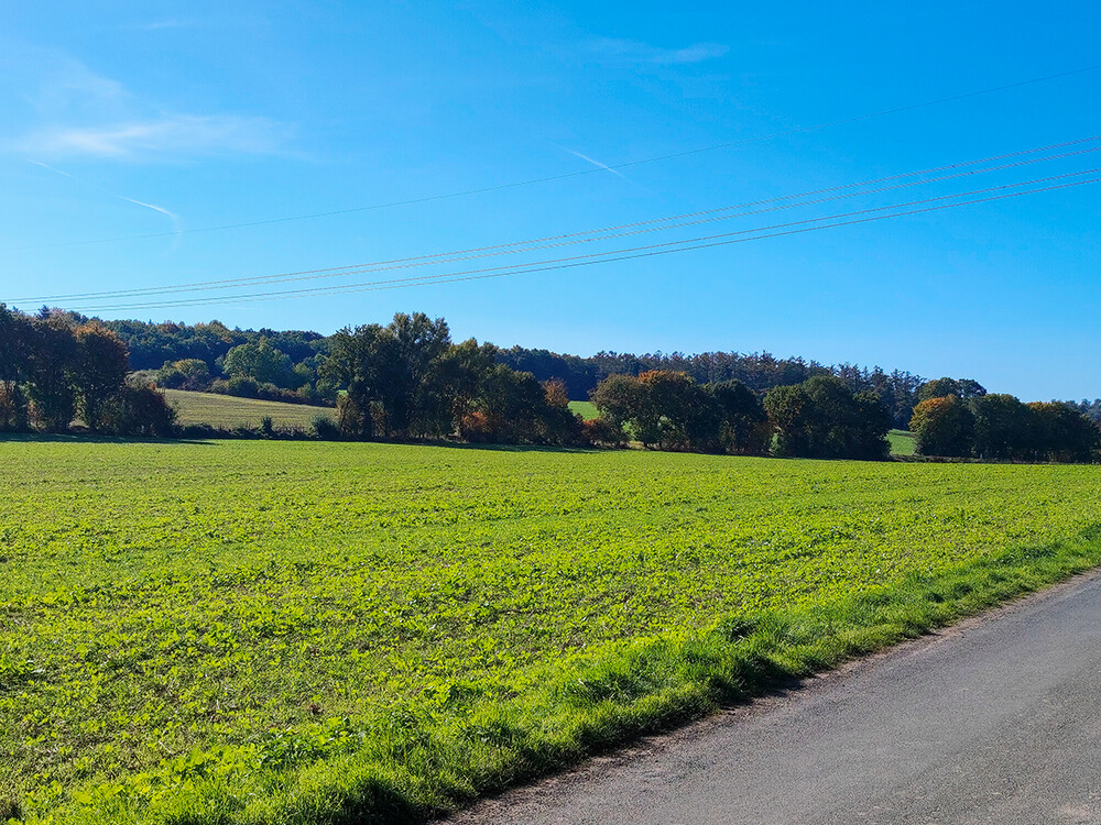 Landschaft "Kreis Unna"
Manni
Schlüsselwörter: 2022