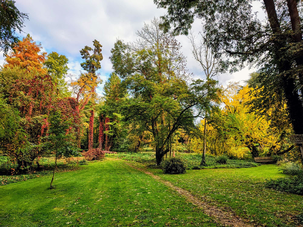 Schloss Paffendorf - Herbstzauber
Manni
Schlüsselwörter: 2025