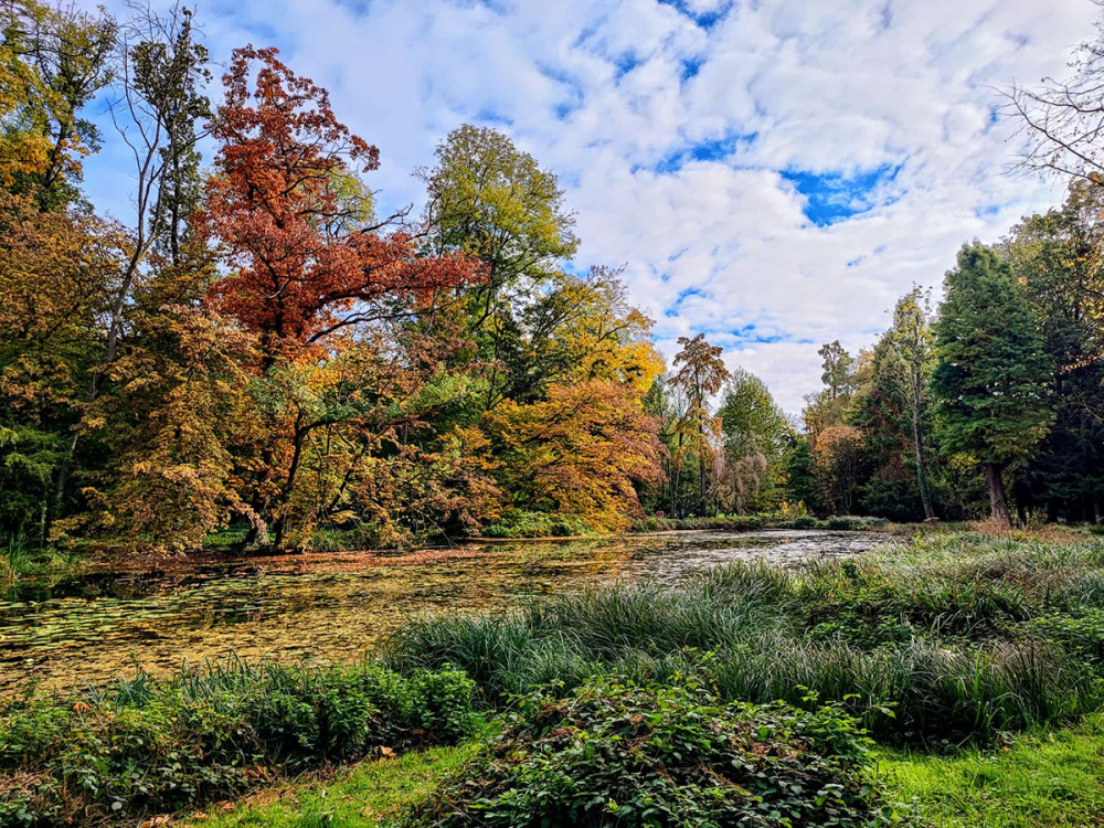 Schloss Paffendorf - Herbstfarben
Manni
Schlüsselwörter: 2025