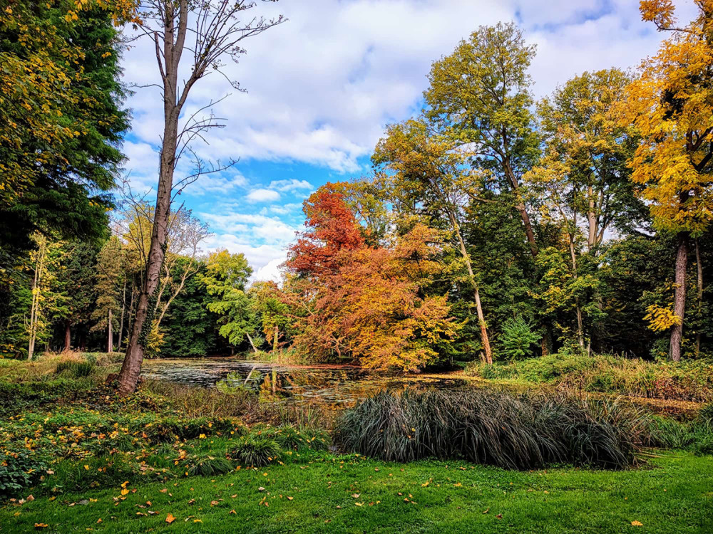 Schloss Paffendorf - Herbstzauber
Manni
Schlüsselwörter: 2025