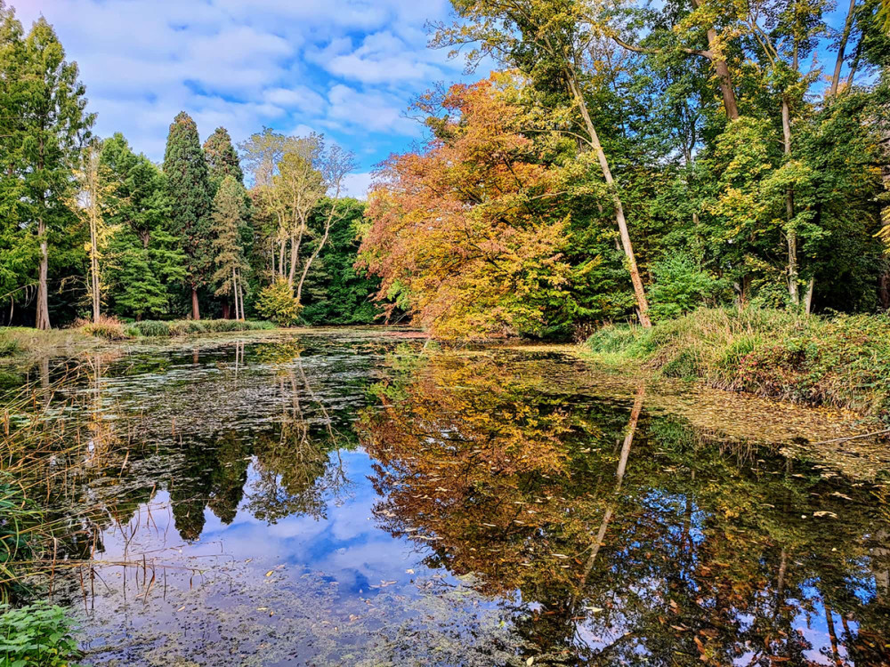 Schloss Paffendorf - Herbstfarben
Manni
Schlüsselwörter: 2025