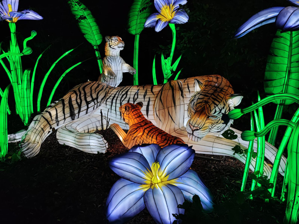 China Lights - Tigerfamilie
Manni
Schlüsselwörter: 2025