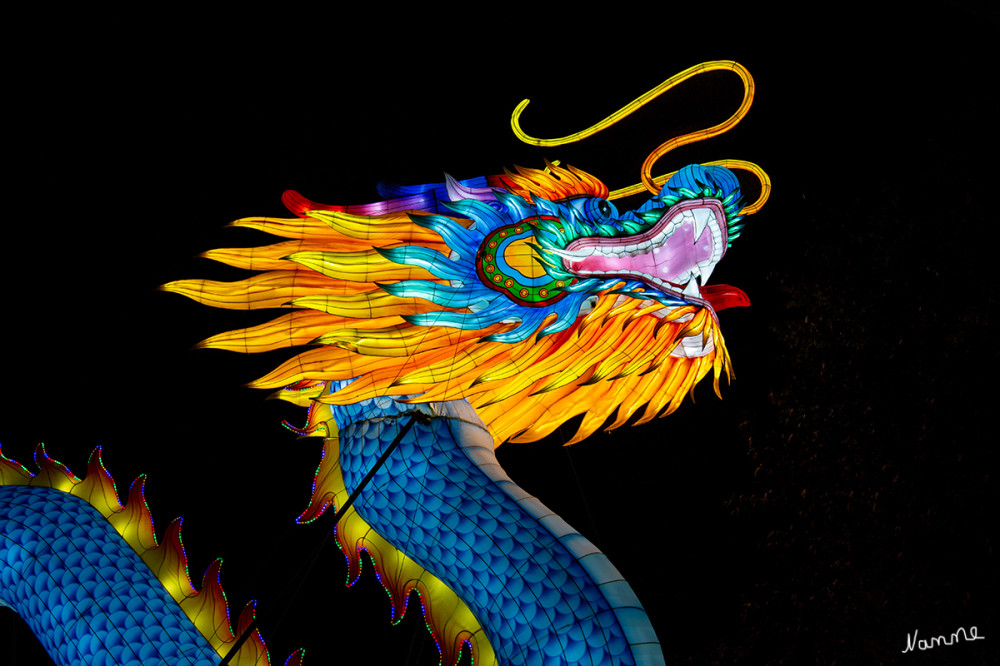 China Lights - Drachenkopf
Schlüsselwörter: 2025, Kleve