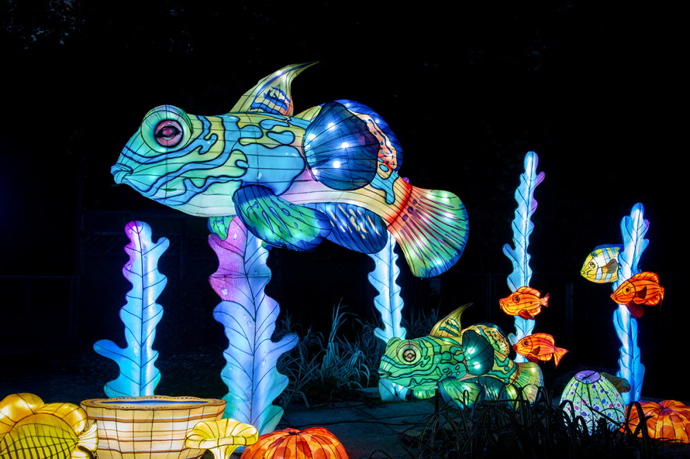 China Lights - Fische
Marianne
Schlüsselwörter: 2025