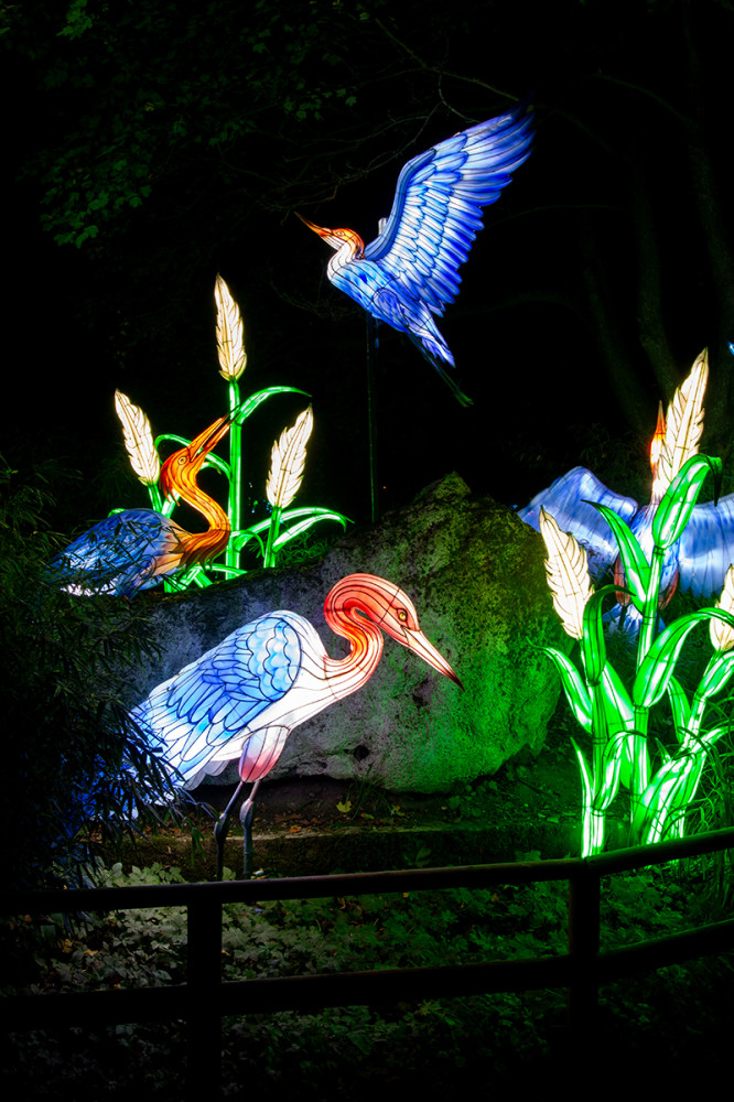 China Lights - Kraniche
Marianne
Schlüsselwörter: 2025