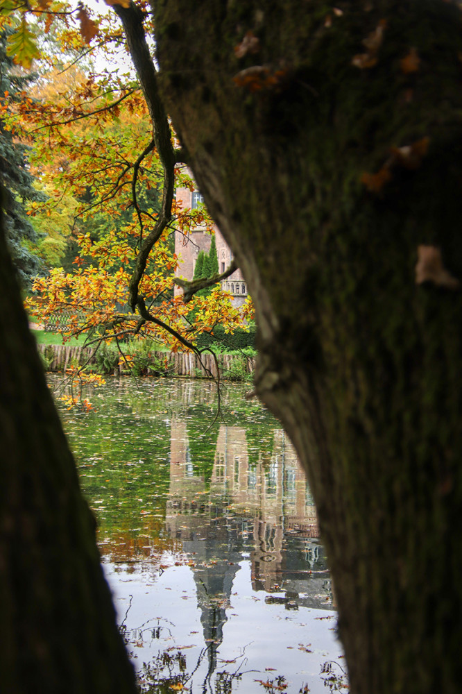 Schloss Paffendorf - Durchblick
Marianne
Schlüsselwörter: 2025